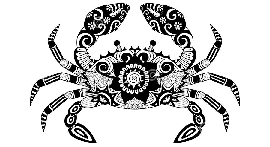 少兒美術參考課例|線描裝飾畫螃蟹